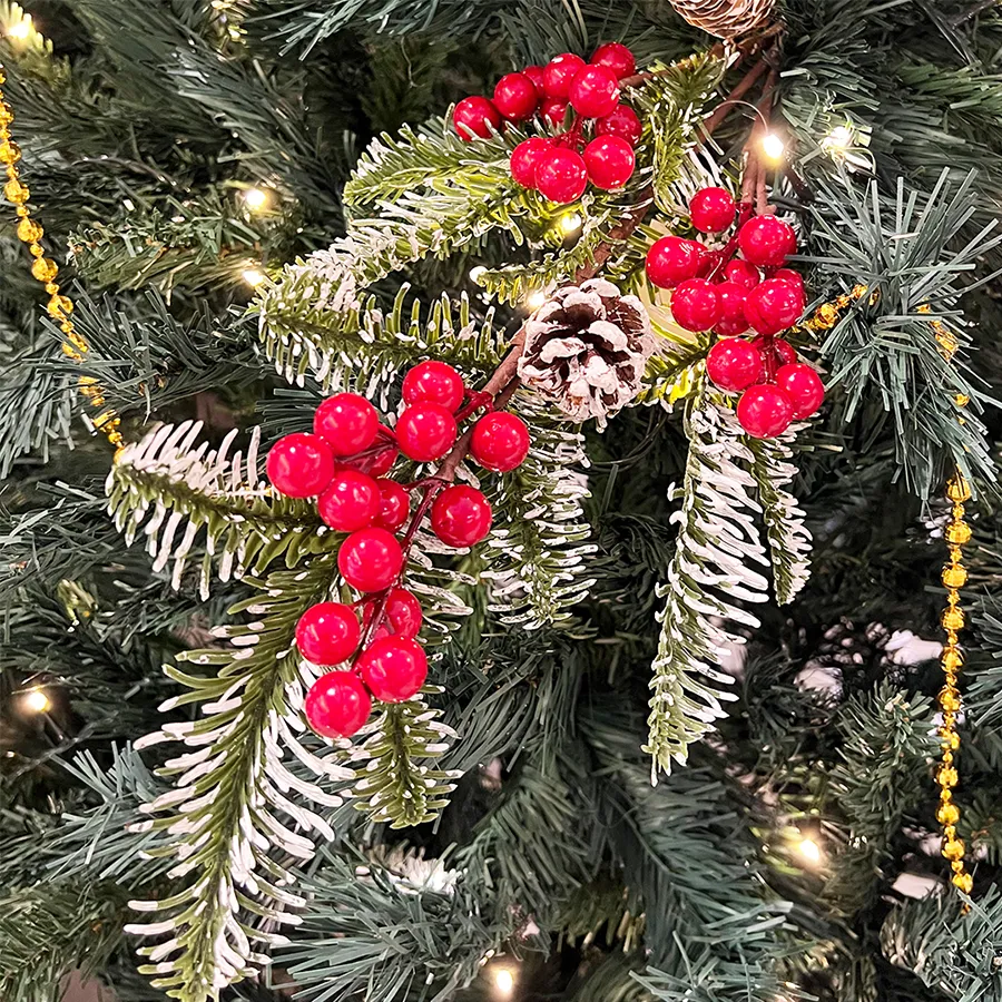 Ardisia Berry Picks