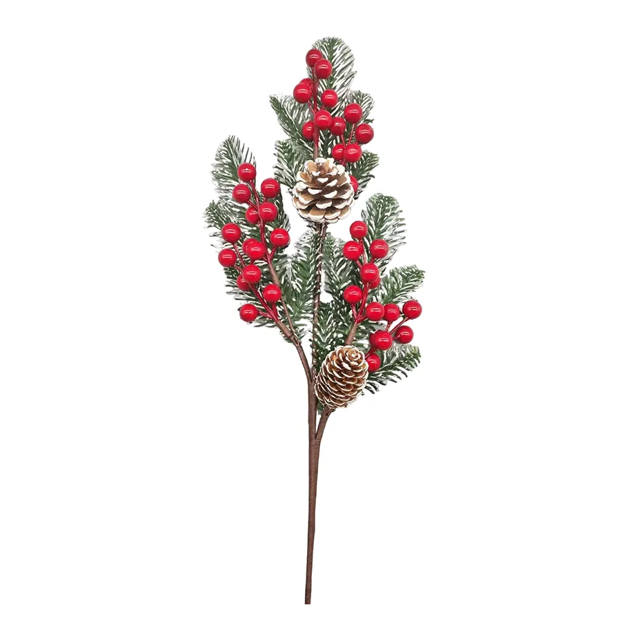 Ardisia Berry Picks
