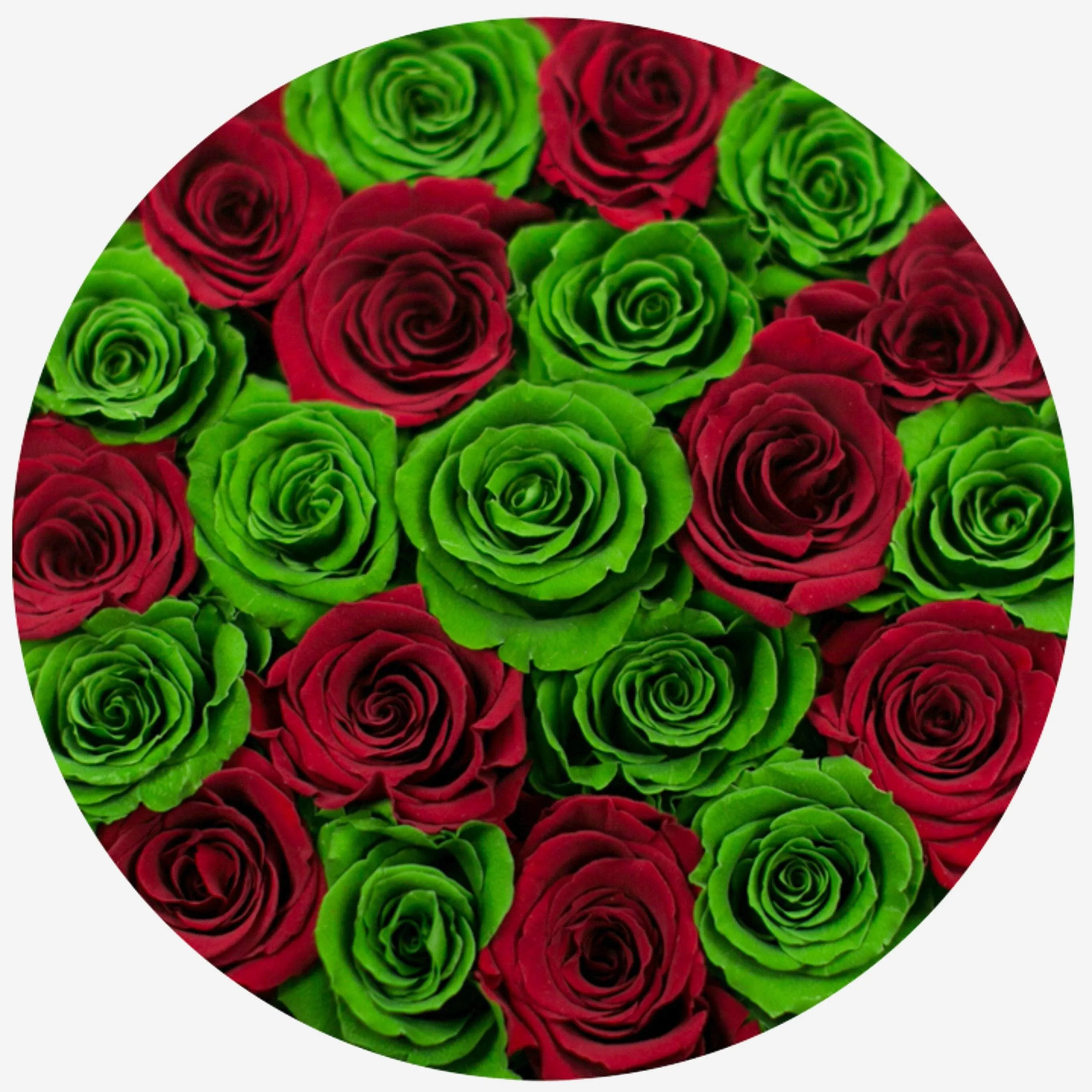 Classic Gold Box | Dark Green & Red Roses