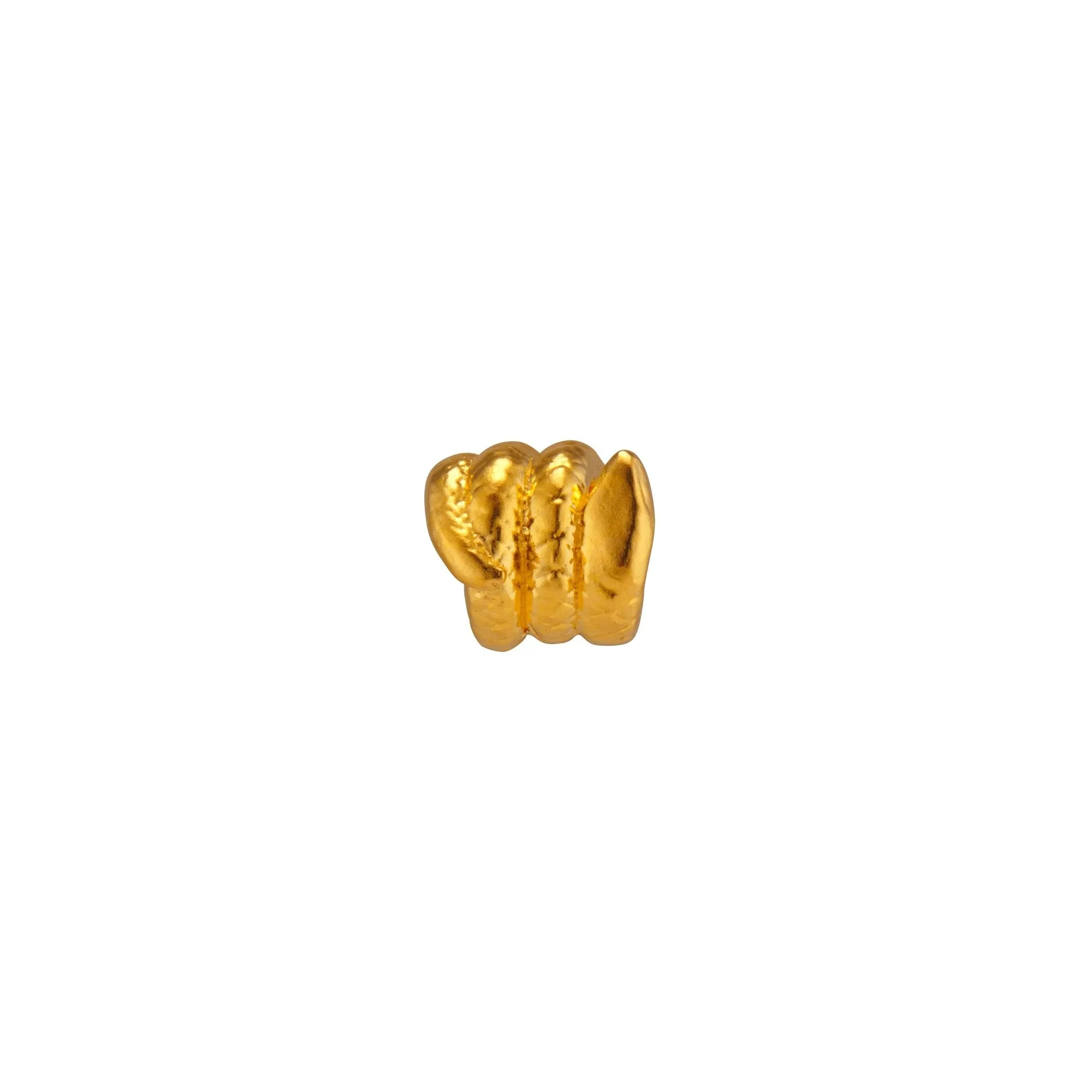 Coiled Snake Charm