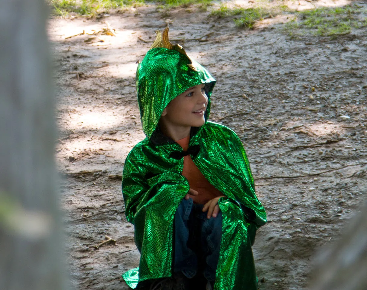 Dragon Cloak