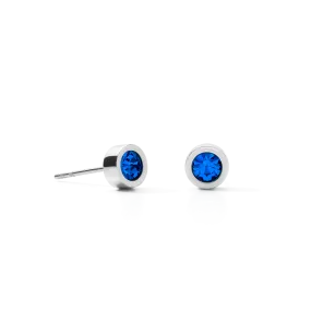 Earrings Crystal & stainless steel silver bleu