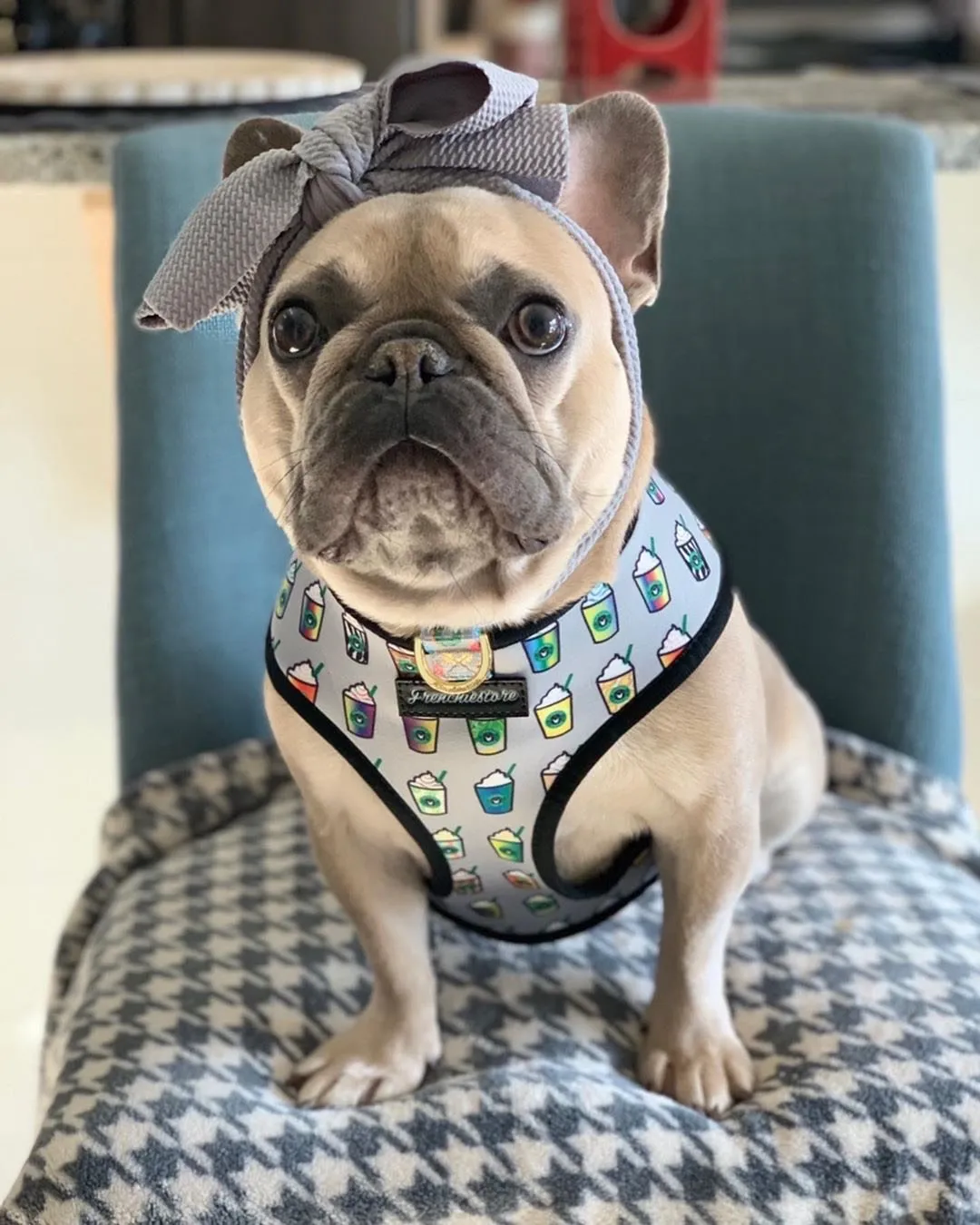 Frenchiestore Pet Head Bow | Silver