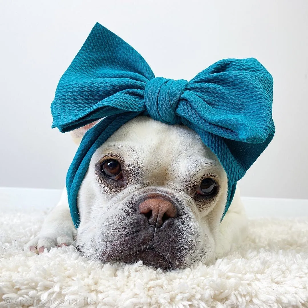 Frenchiestore Pet Head Bow | Teal