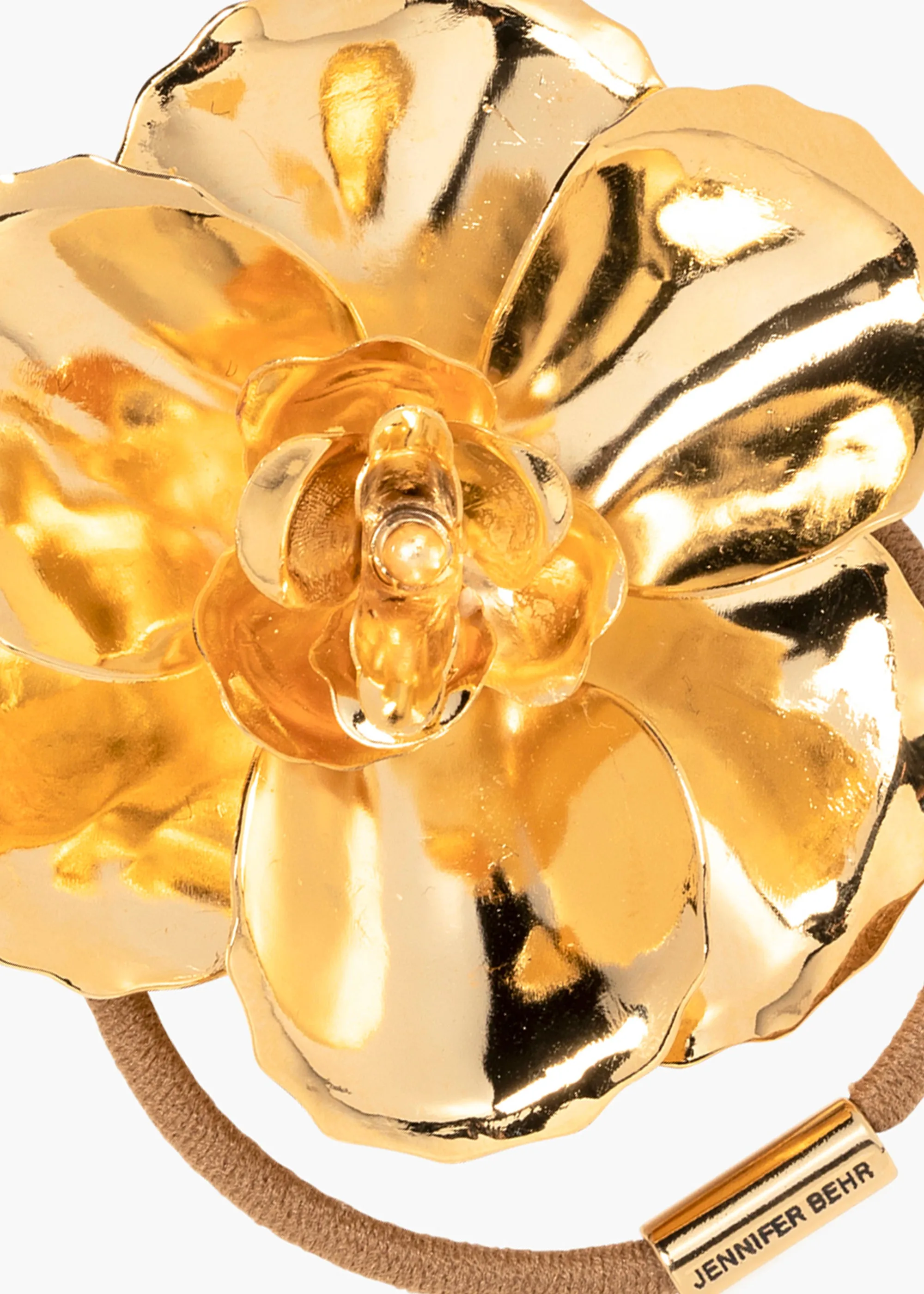 Gladiolus Ponywrap -- Gold