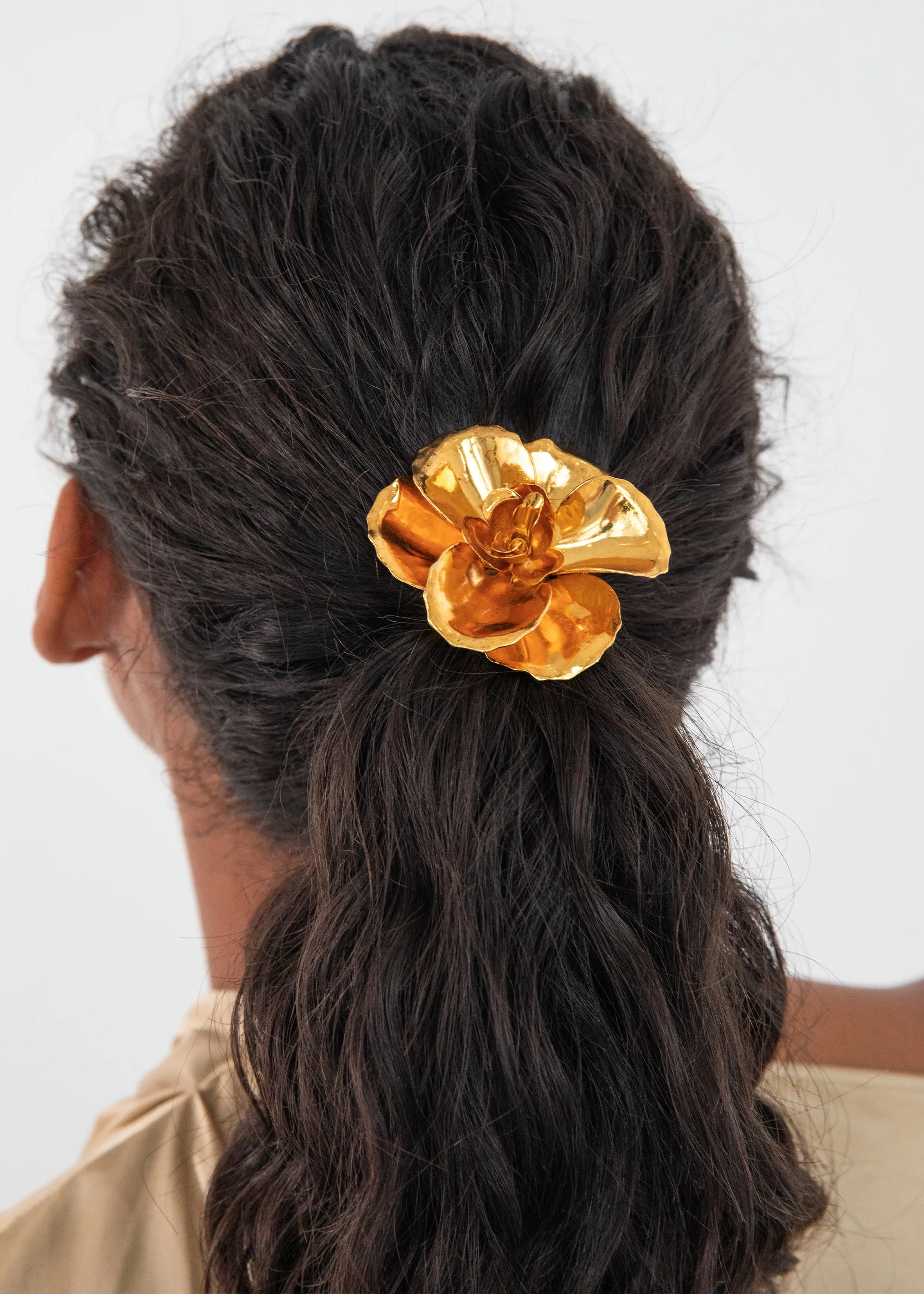 Gladiolus Ponywrap -- Gold