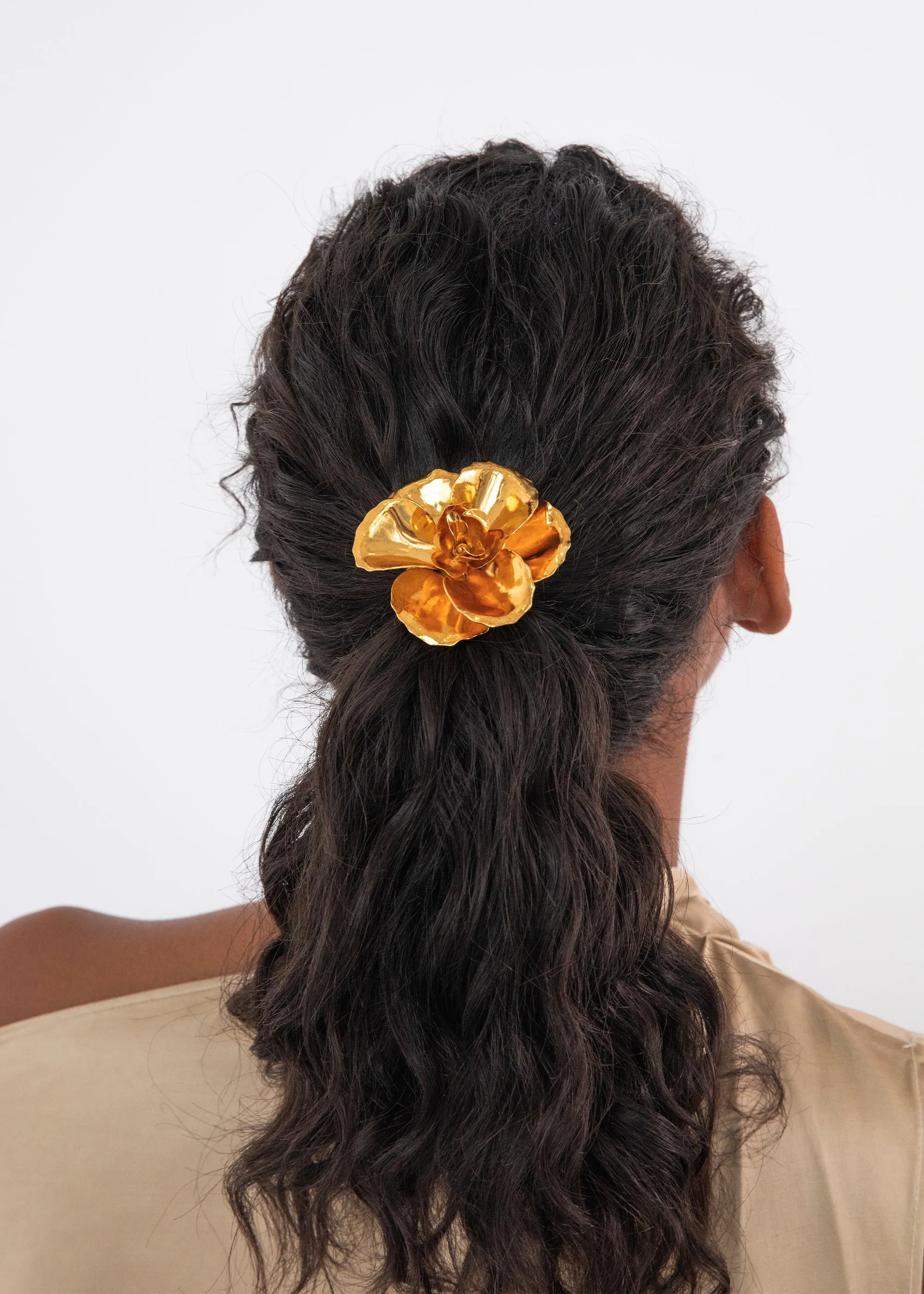 Gladiolus Ponywrap -- Gold